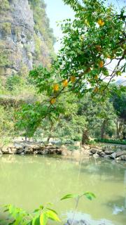 Thiên Trường An Garden - Ninh Binh - 3