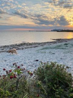 Direct Access To The Sea And Stargazing - Yderby - 8