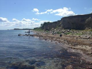 Summer Vibe Near Fynshoved And The Great Belt - Martofte - 2