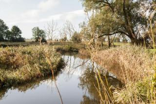 Wide View On Nature From The Manor House On Rügen - Poseritz - 2