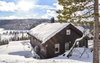 Cozy, Traditional Cabin At Kyrkjebygdheia - Fjone - 6
