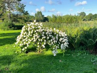 Home Near Forest With Countryside Feel - Nykøbing Sjælland - 6