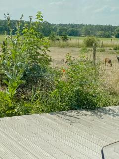 Natural Wooden House With Panoramic View - Ihlow - 0