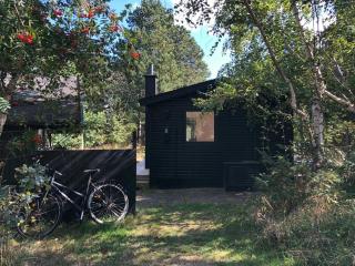 Quint Cabin Close To Kattegat And Sejer Bay - Tjørneholm - 7