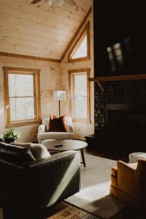 Blackberry Cabin, a cozy modern cabin - 4