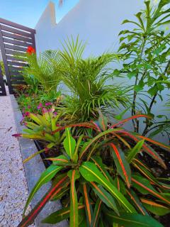 Spacious oasis of light and nature beach villa - 5