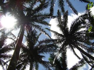 民宿ふがらっさ - 1