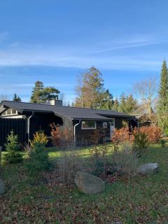 Home Near Forest And Beach In Stevns Nature - Strøby Ladeplads - 9