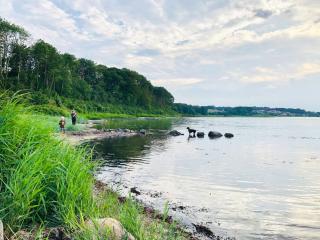 Magisk Havudsigt I Første Række Ved Anslet Strand - Haderslev - 7