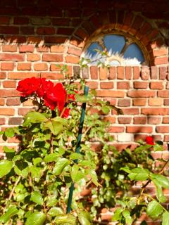 Thatched Home With Large Garden Near North Sea - Risum-Lindholm - 8