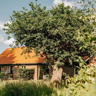 Modern Holiday Home With Charm And Swimming Pond - Wiefelstede - 6