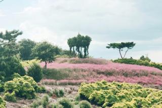 Solbada Spa Pension - Taean - 1