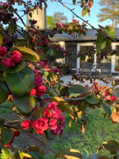 Home Near Forest And Beach In Stevns Nature - Strøby Ladeplads - 5