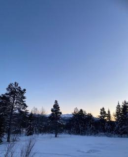 Cabin In Rauland Near Fishing, Hiking And Skiing - Rauland - 8