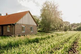 Bright Holiday Flat On Estate With Nature Views - Wiefelstede - 7
