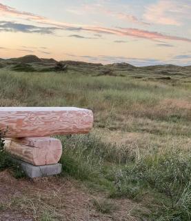 Oasis With The North Sea Behind - Blokhus - 5