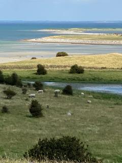 Summer Vibe Near Fynshoved And The Great Belt - Martofte - 7