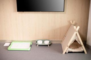 Gapyeong GlamDog Pet Pension - 2