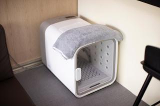 Gapyeong GlamDog Pet Pension - 1