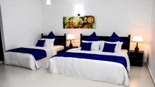 Blue Spring Hotel Wadduwa - Wadduwa - 1