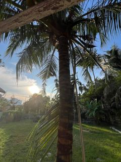 Villa Aman in Georgetown - 6