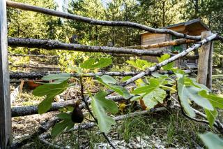 Island Life With Undisturbed Nature And Calmness - Kongsmark - 8