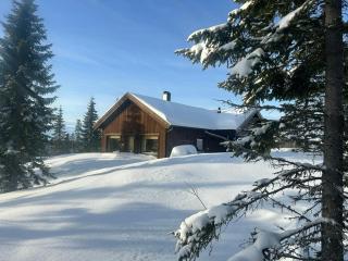 Fantastic Forest Cabin With Panoramic View - Jaren - 2