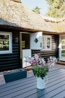 Thatched Summer Home Perfect For Two Families - Gilleleje - 8