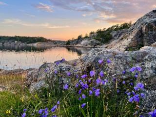 Irresistible Cabin Gem In Hvaler - Hauge - 5