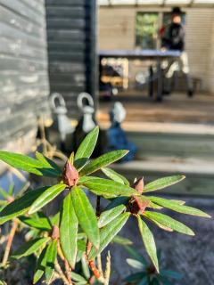 Family-Friendly Summer House Near Rørvig - Nykøbing Sjælland - 7