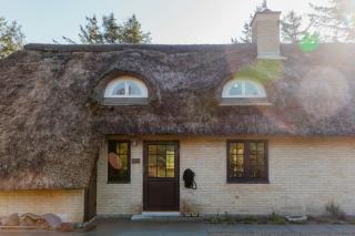 Middle Of Forest With Sea And Reserve - Ulfborg - 7