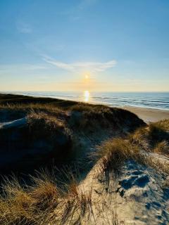 Light In The Dunes Near Denmarks Coast - Oksbøl - 6