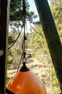 Wrapped In Woodland Peace In Denmark - Ålbæk - 2