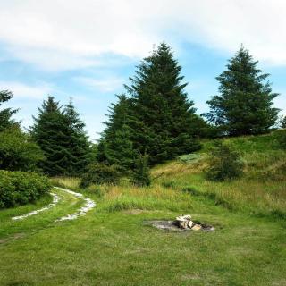 Cozy, Cottage In Unspoiled Nature - Frøstrup - 3