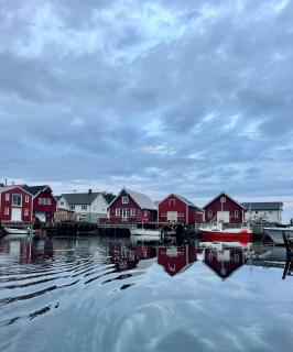 Charming Cabin On Veiholmens Inner Harbor - Smøla - 8