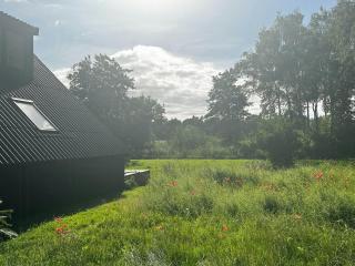 Home Near Forest With Countryside Feel - Nykøbing Sjælland - 7