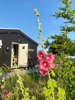 Outdoor Life In Holiday Home At Dråby Strand - Ebeltoft - 8