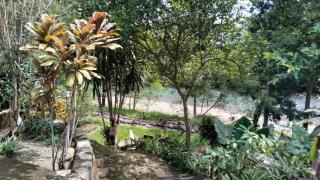Wisma Batu Mandi and Jungle trekking - 3