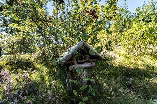 Island Life With Undisturbed Nature And Calmness - Kongsmark - 4