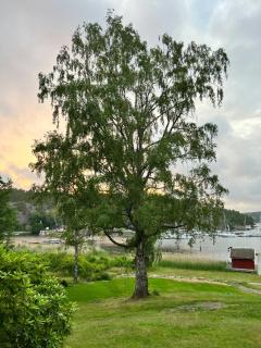 Charming Swiss-Style Cabin On Hankø - Gressvik - 8