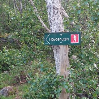 Unique Cabin By The Ski Slope In Hovden - Hovden - 5