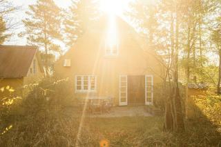 Wrapped In Woodland Peace In Denmark - Ålbæk - 1