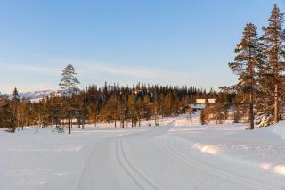 Familiehytte Med Fantastisk Udsigt Ved Sjusjøen - Eggedal - 6