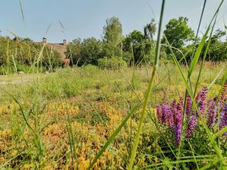 Holiday In A Swedish House Near The Lake - Ahlbeck - 6