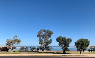 Kalbarri Motor Hotel - Kalbarri - 3