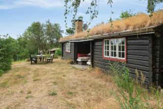 Rustic Cosiness In Norwegian Log Cabin With View - Knebel - 4