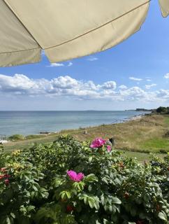 See Fyns Head From Solreden With Sea View - Martofte - 1