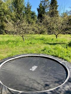 Adventurous Gem On The Edge Of Tisvilde Hegn - 3