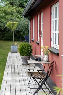 Romantic Cottage Amidst Tall Woodland Trees - 1