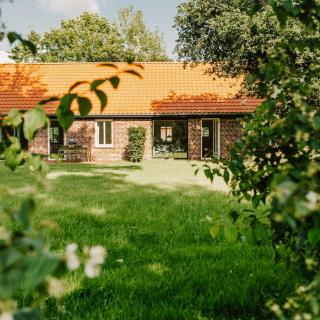 Modern Holiday Home With Charm And Swimming Pond - Wiefelstede - 3